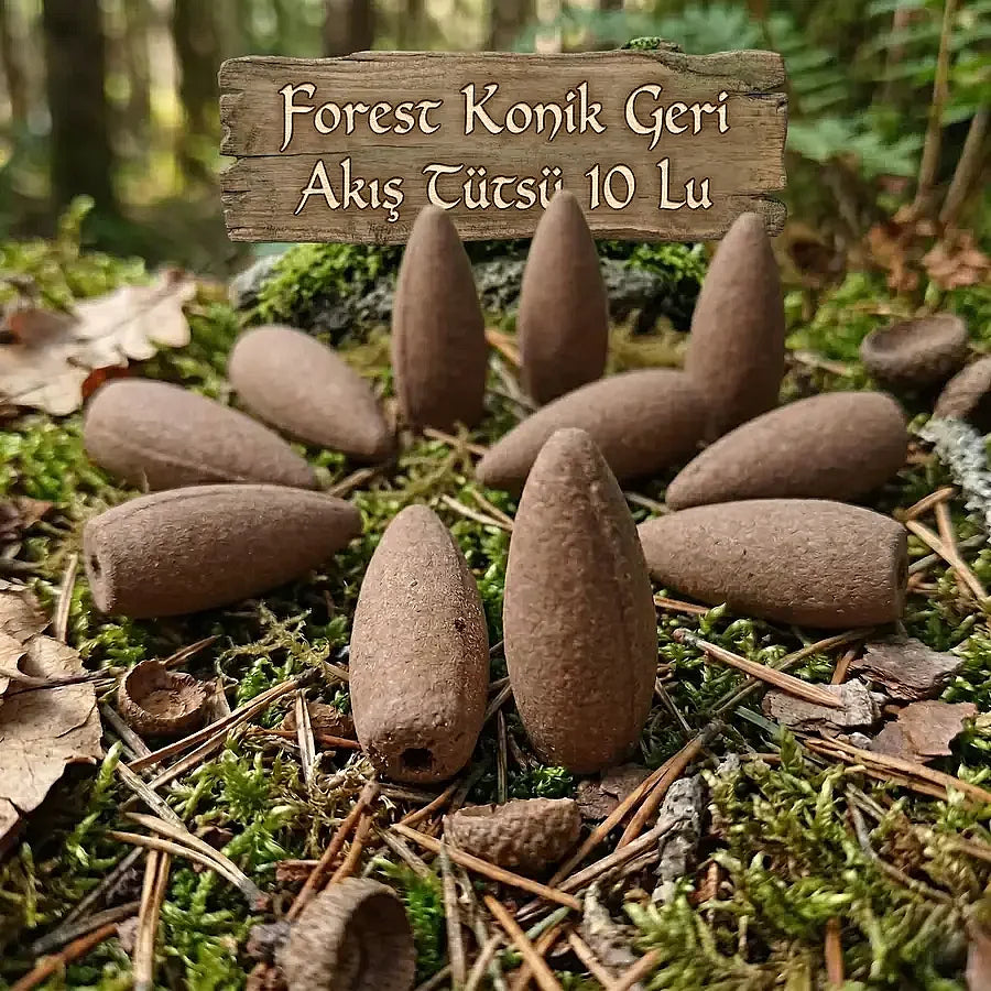 Forest Konik Geri Akış Tütsü 10 Lu Tütsü Çeşitleri Logosuz Ürünler